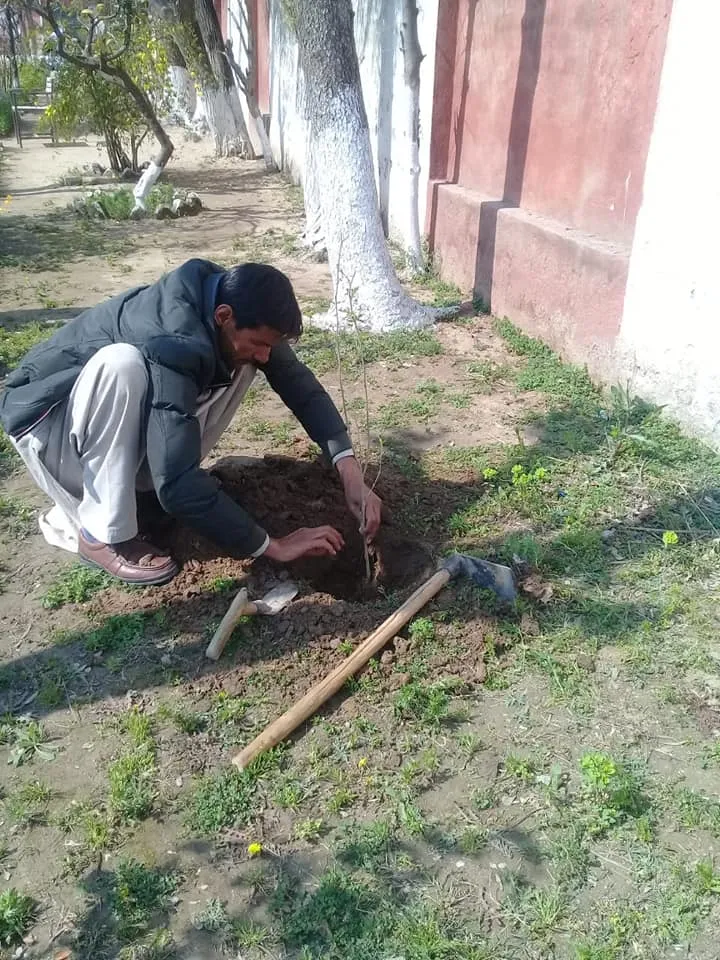 Green Seekers Activity